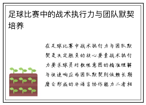 足球比赛中的战术执行力与团队默契培养